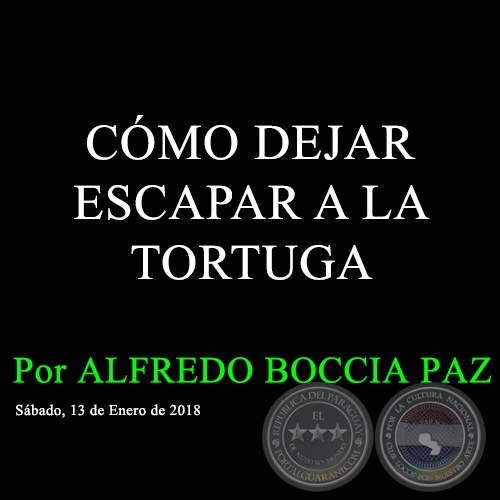 CÓMO DEJAR ESCAPAR A LA TORTUGA - Por ALFREDO BOCCIA PAZ - Sábado, 13 de Enero de 2018